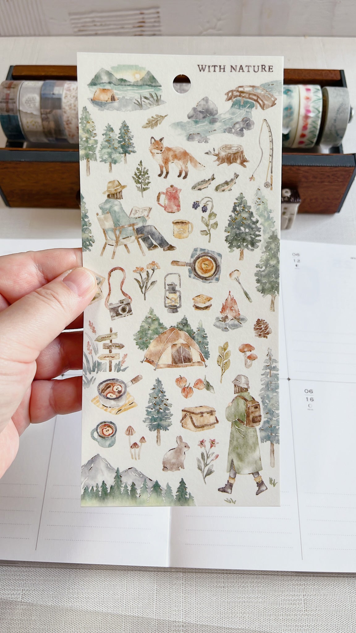 Mind Wave | With Nature | Hiking | 81958