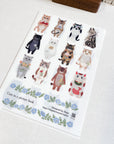 4 Legs | A5 Plastic Folder | Cat in a Picture