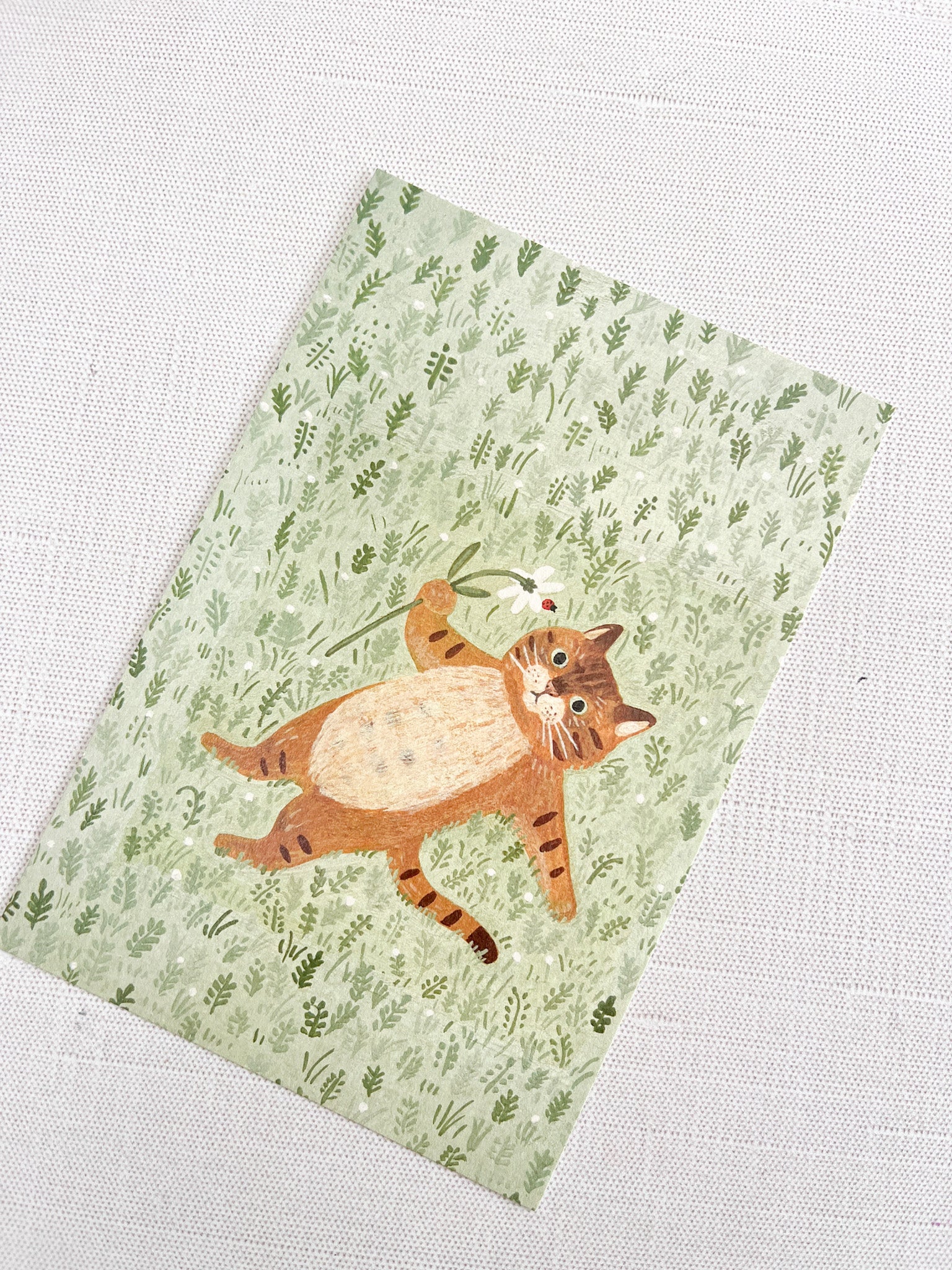 4 Legs | Leo in Field of Flowers Postcard