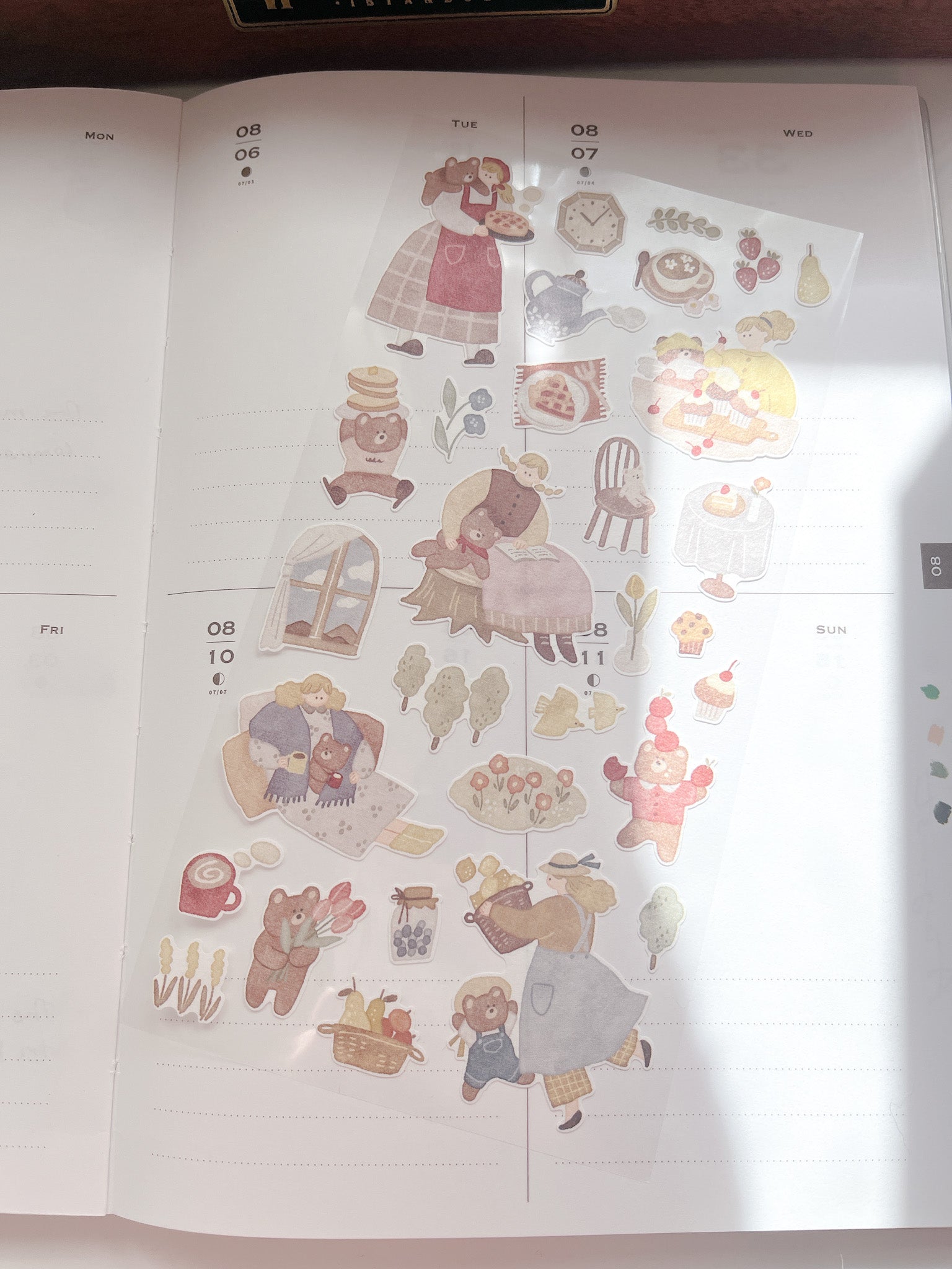 Mind Wave | Together with Me | Bear | 82026