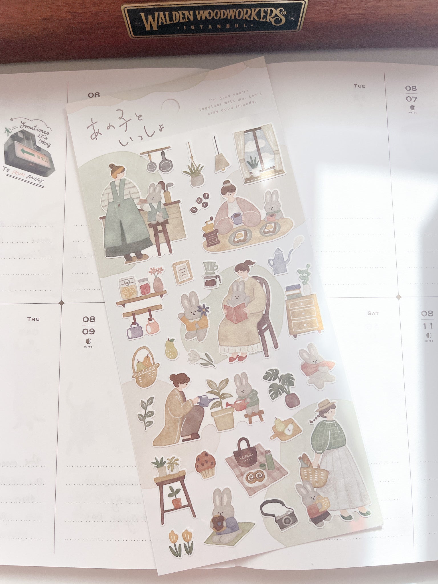 Mind Wave | Together with Me | Rabbit | 82029