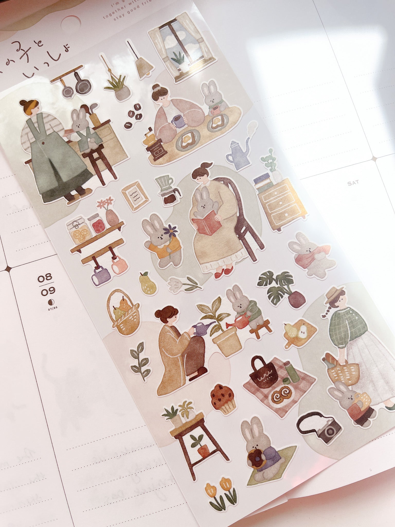 Mind Wave | Together with Me | Rabbit | 82029