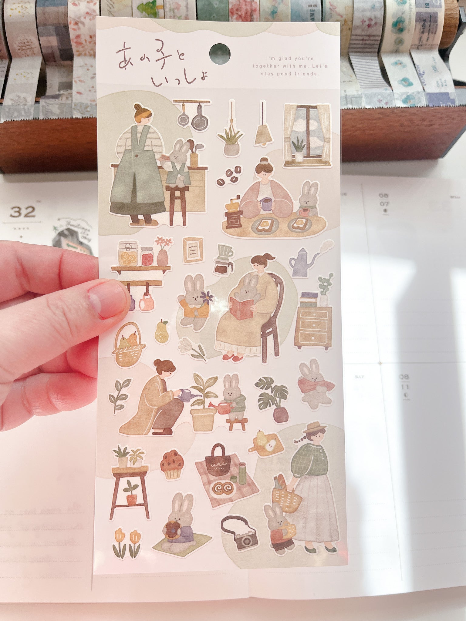 Mind Wave | Together with Me | Rabbit | 82029