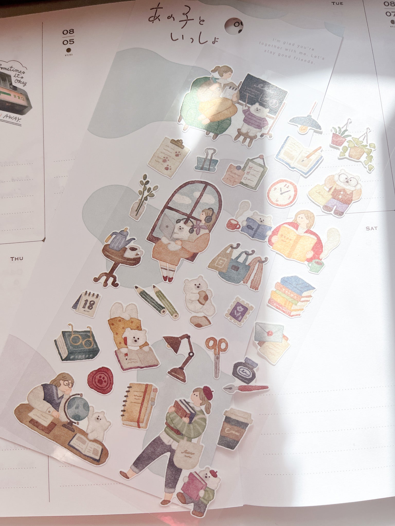 Mind Wave | Together with Me | Polar Bear | 82031