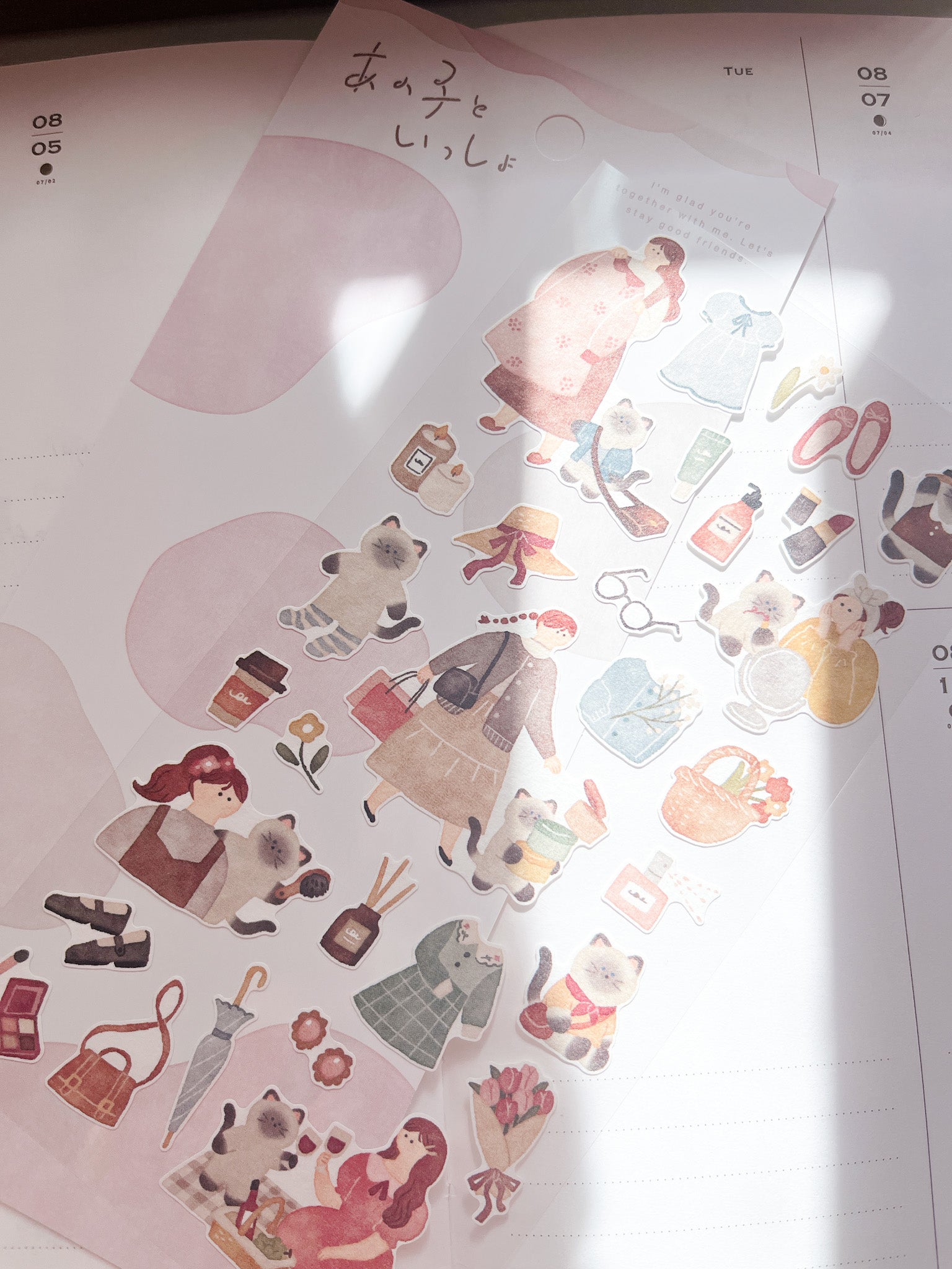 Mind Wave | Together with Me | Cat | 82030