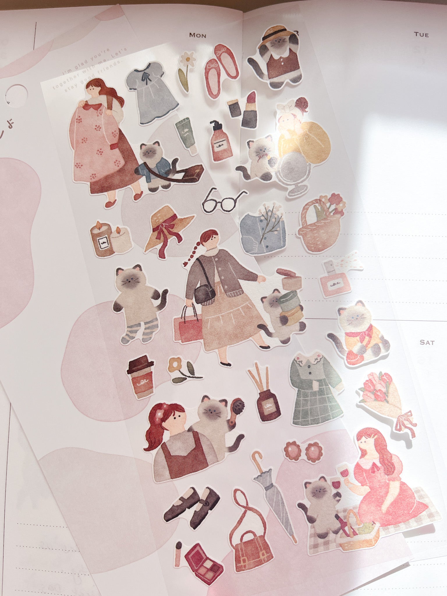 Mind Wave | Together with Me | Cat | 82030