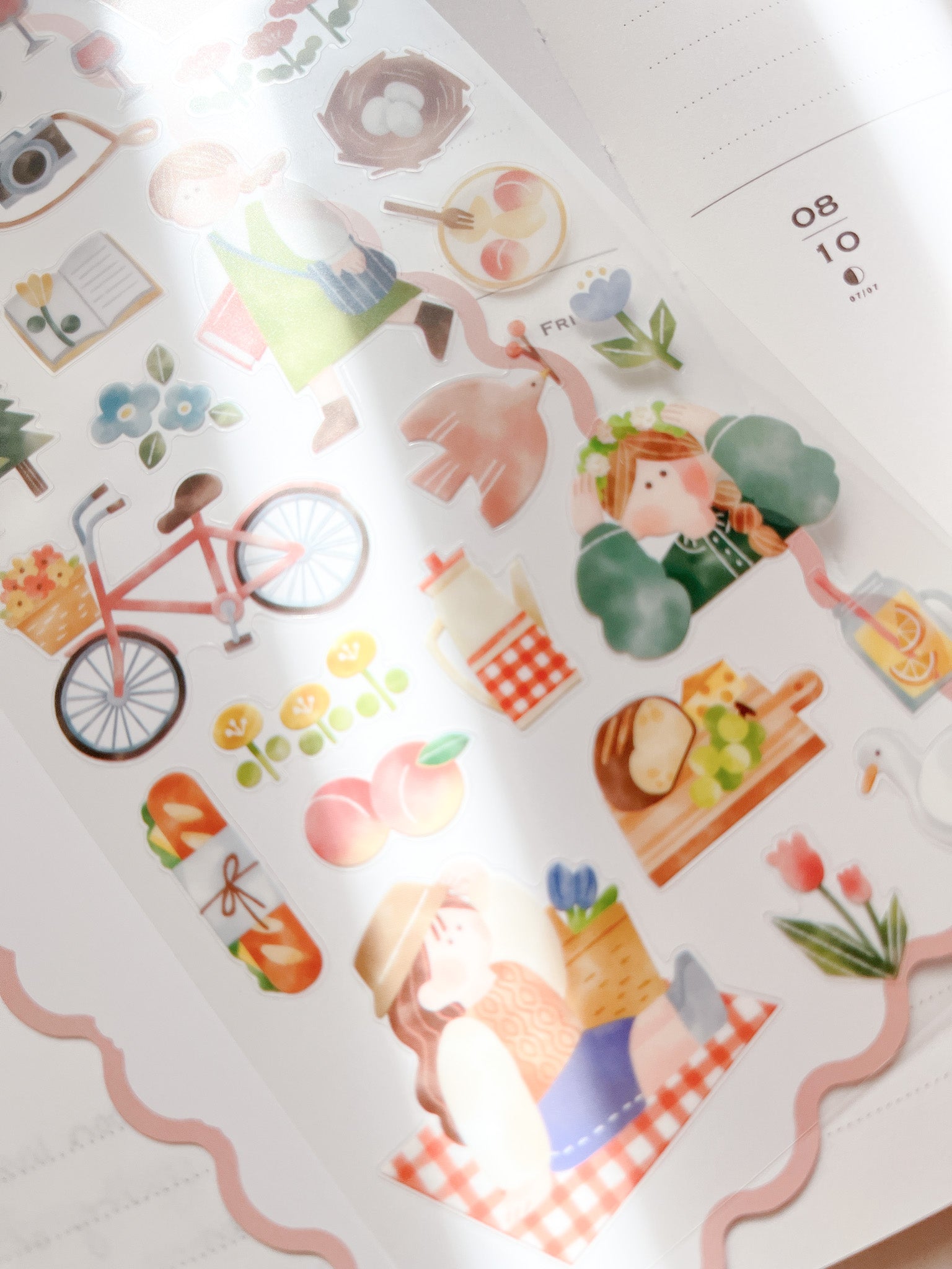 Mind Wave | Routine Charm | Picnic | 82185