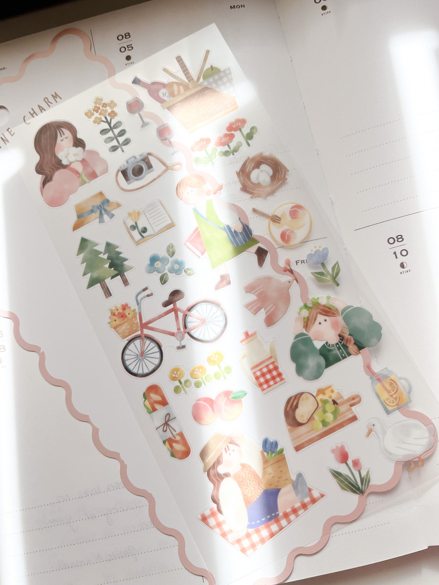 Mind Wave | Routine Charm | Picnic | 82185