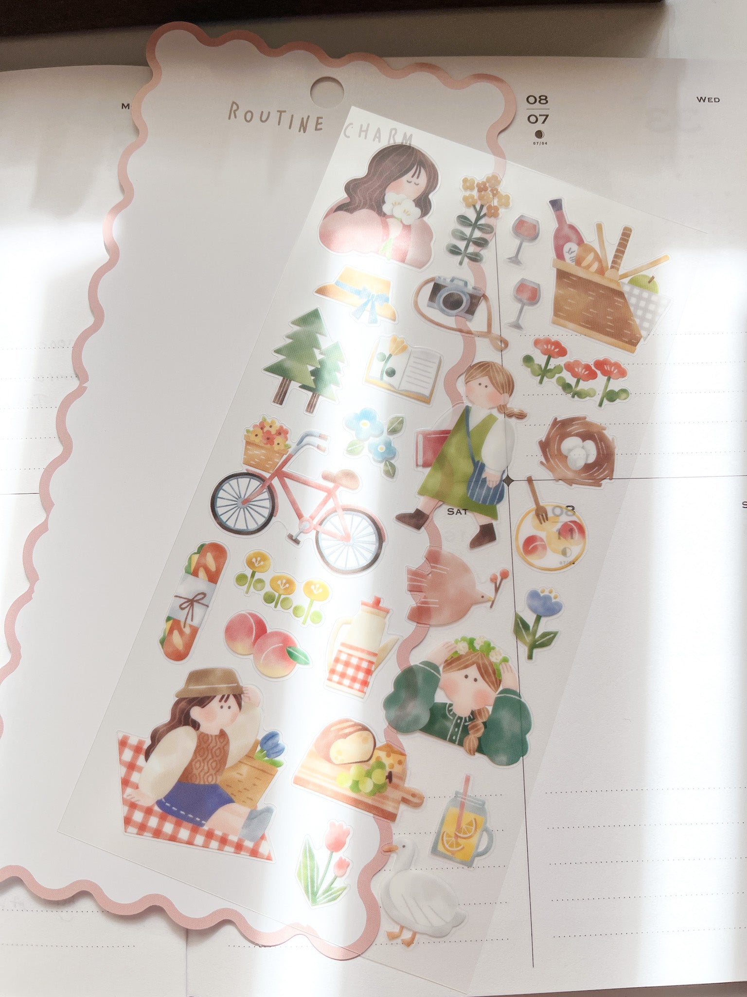 Mind Wave | Routine Charm | Picnic | 82185