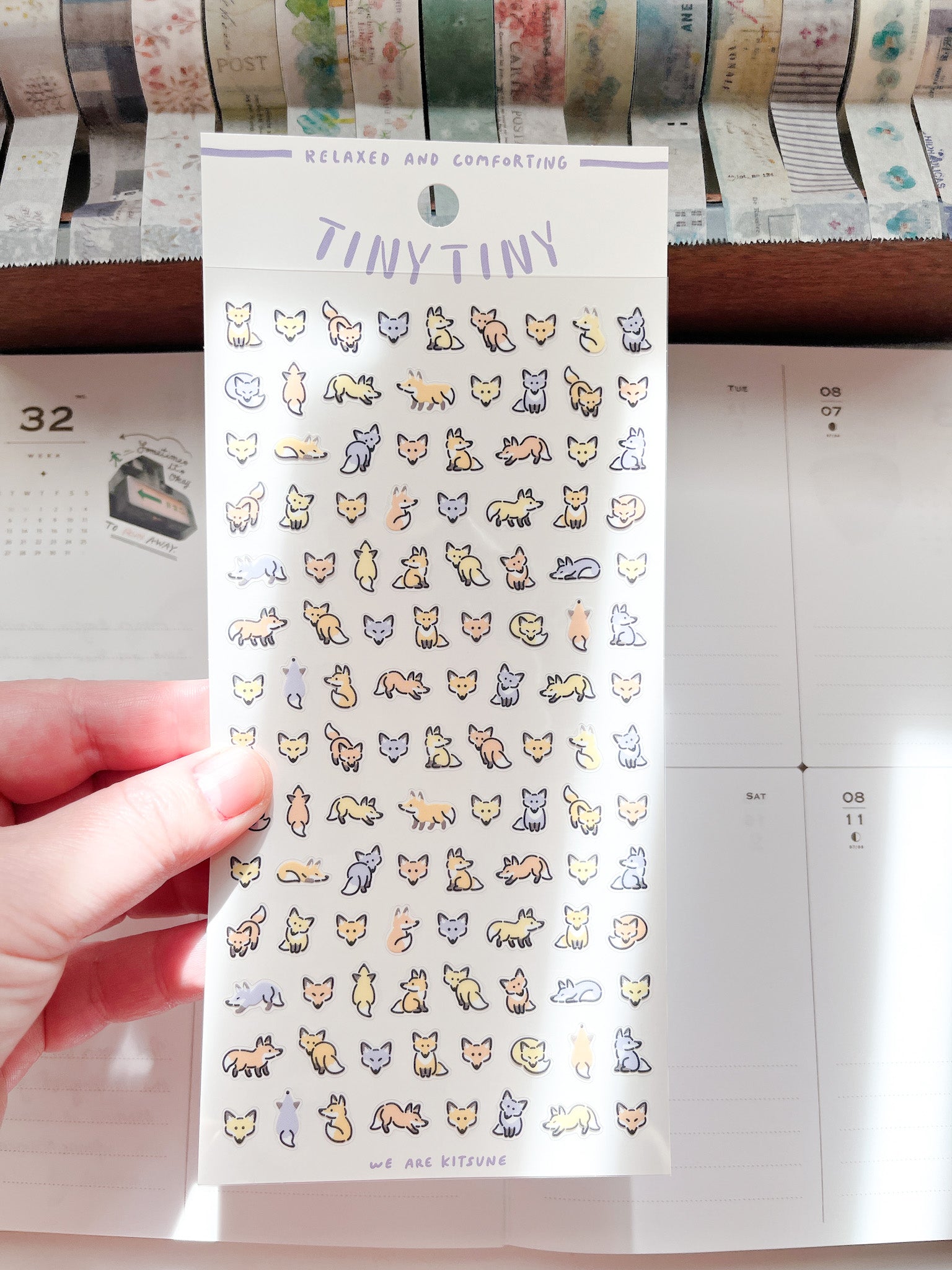 Mind Wave | Tiny Tiny | Fox | 82278