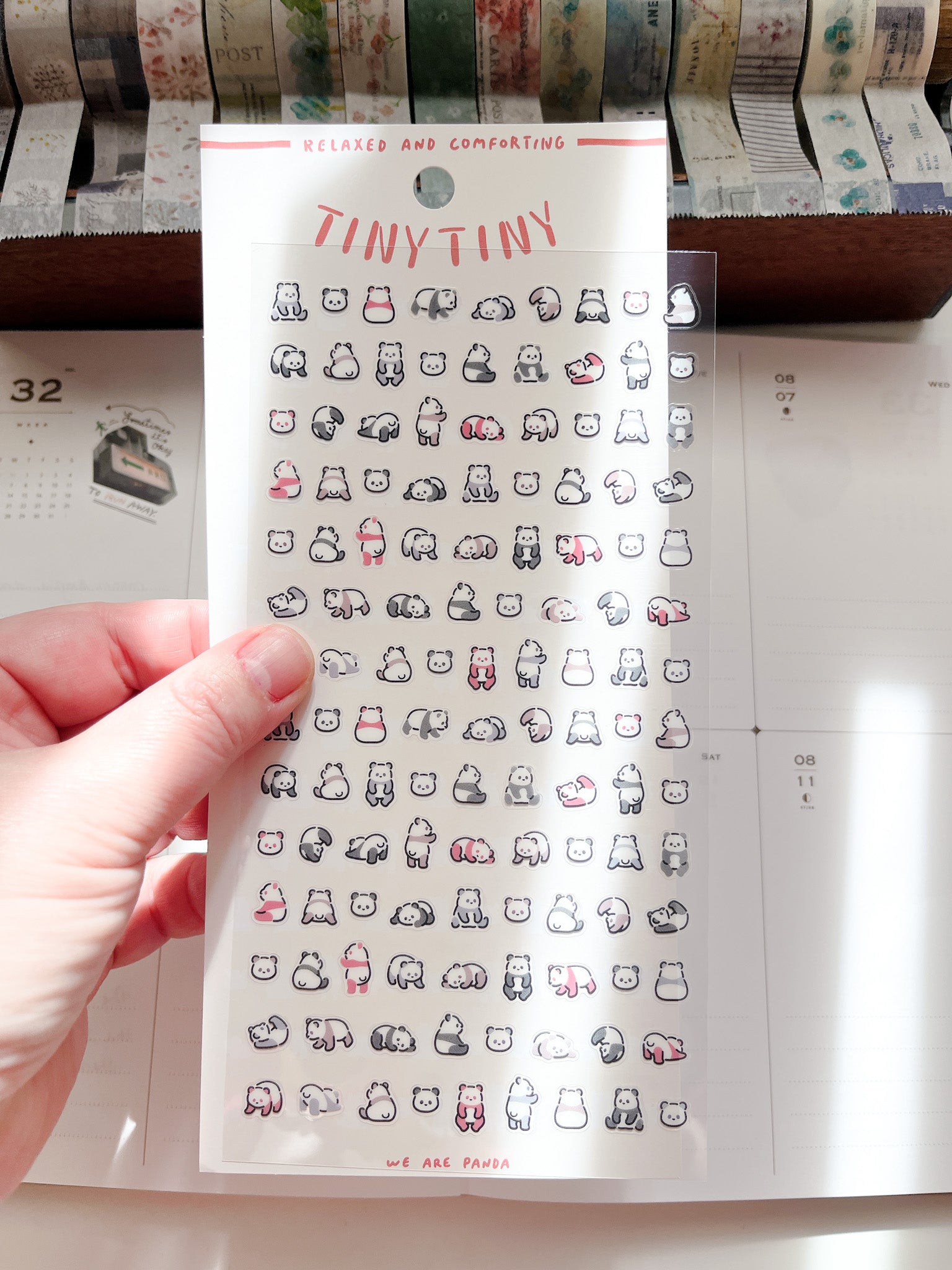 Mind Wave | Tiny Tiny | Panda | 82279