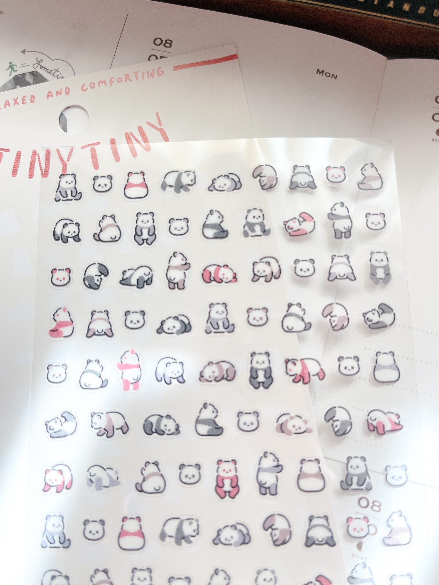 Mind Wave | Tiny Tiny | Panda | 82279