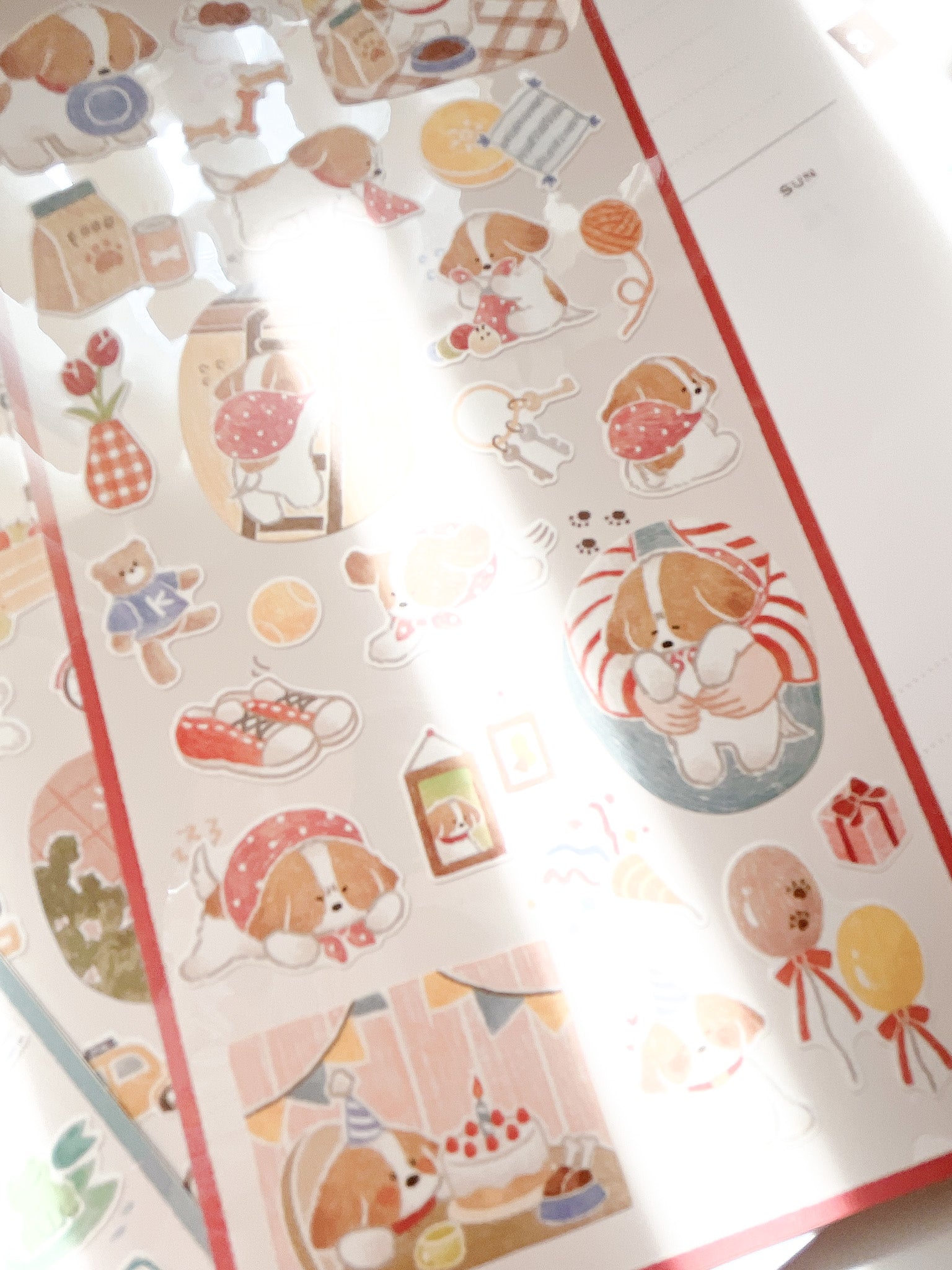 Mind Wave | Dog's House| 82292