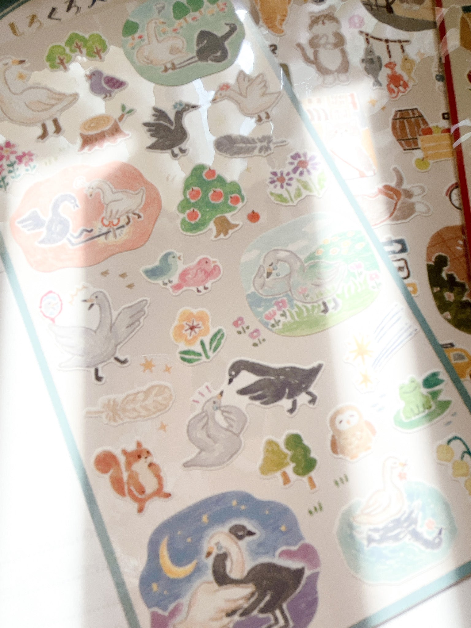 Mind Wave | White Swan | 82291