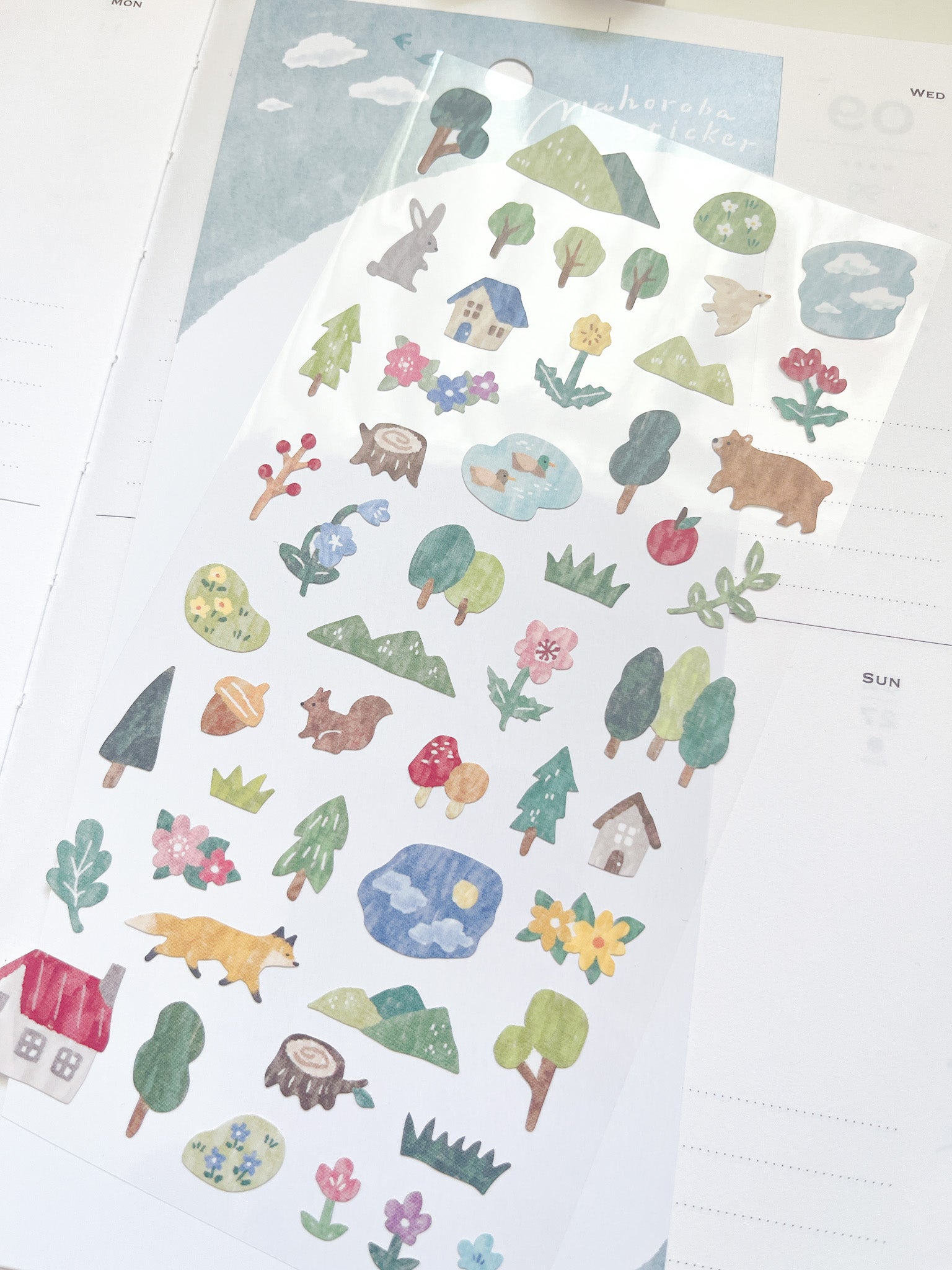 Mind Wave | Mahoroba | Forest | 82024