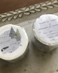Avocado Mori | Moment of Reading Washi Tape