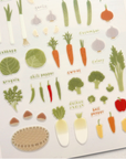 Suatelier Stickers | Farm Fresh Veggies | 1201