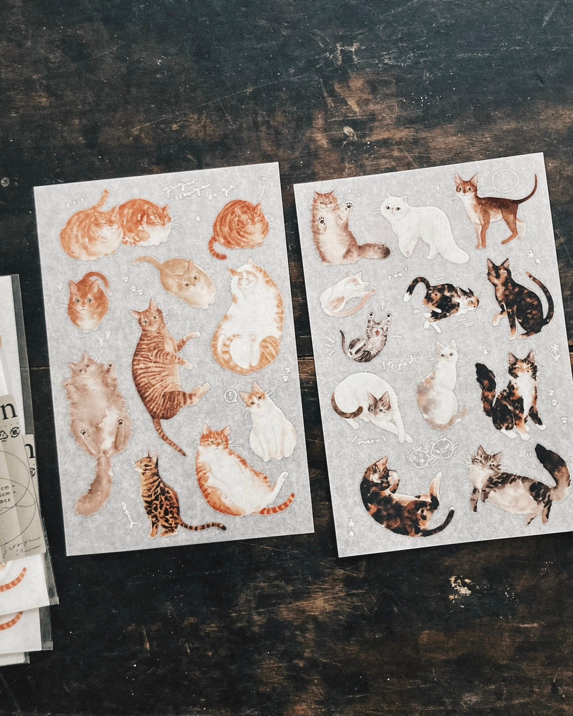 SOME SORT OF FERN | Ginger Cat Print On Sticker