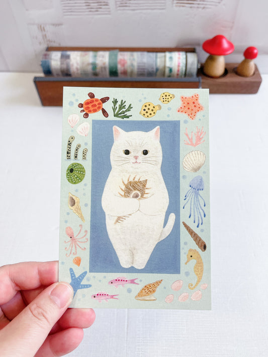 White Cat Postcard Beach Theme