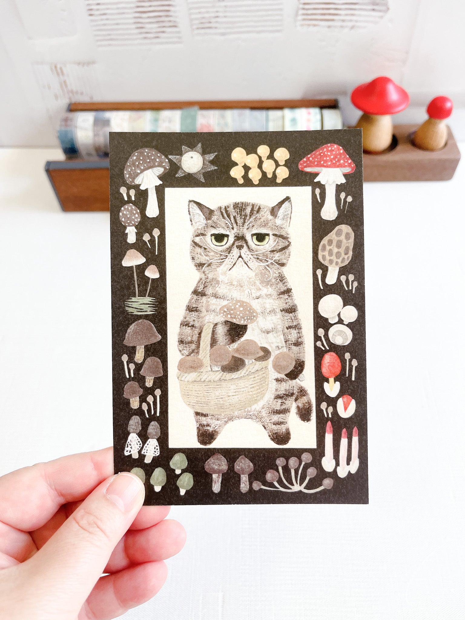 4Legs Tabby Cat with mushroom Postcard