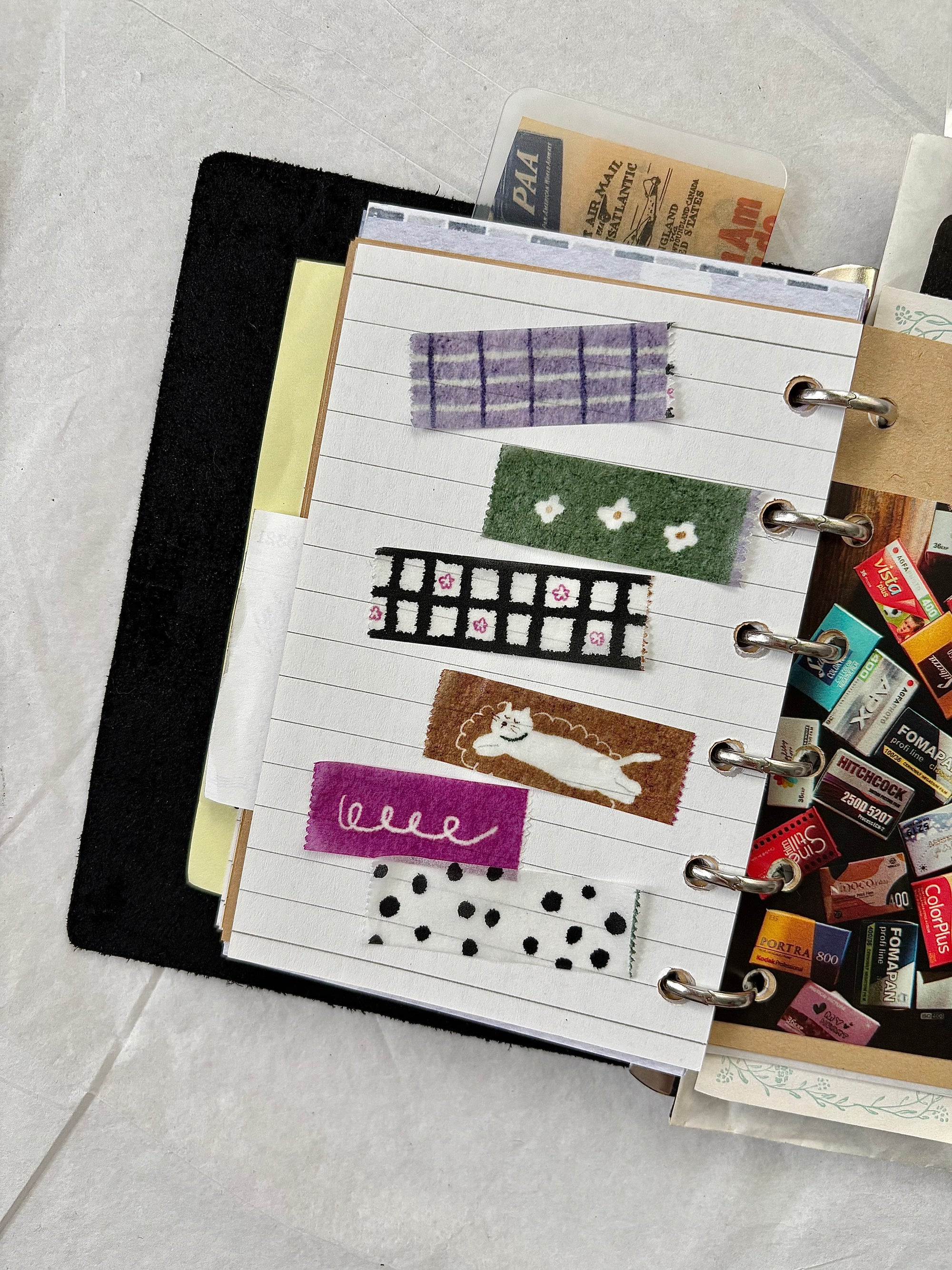 PION | Cat on the Rug Washi Tape