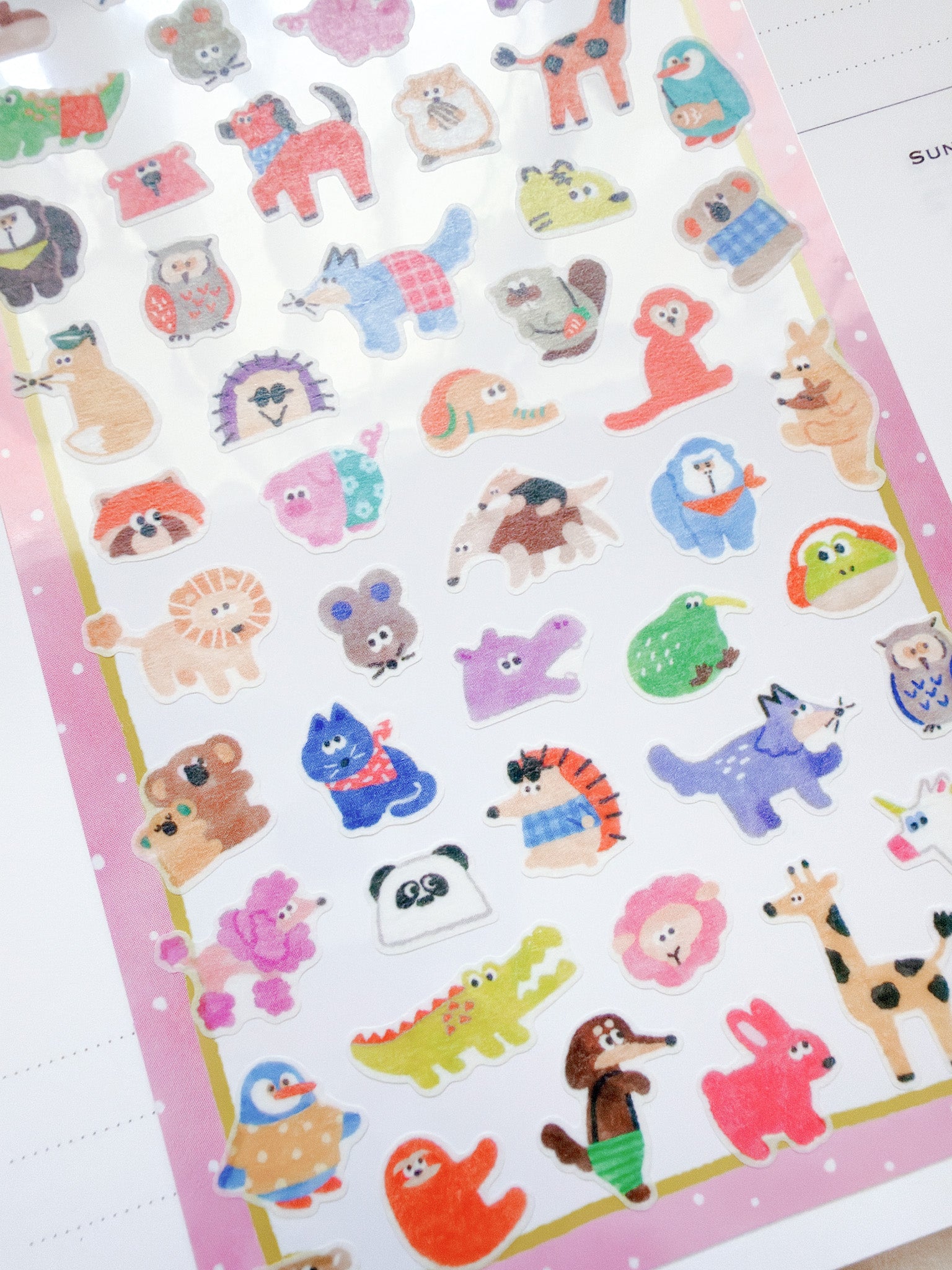 Mind Wave | Vivid Color Doggies | 82727