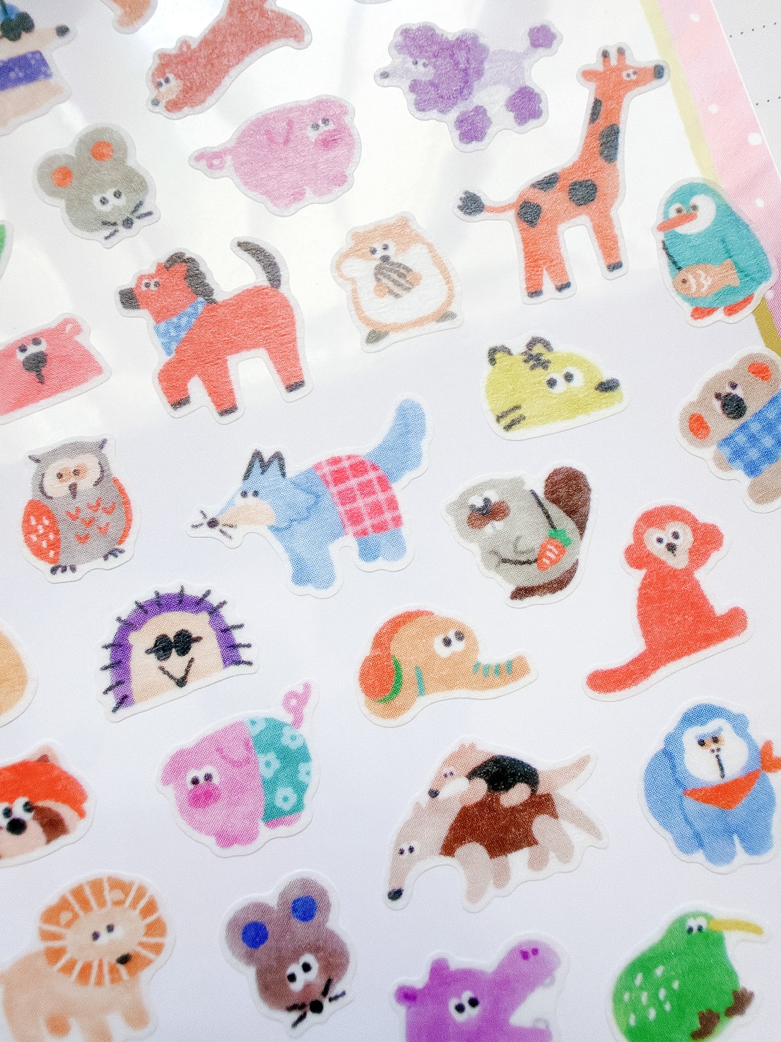 Mind Wave | Vivid Color Doggies | 82727