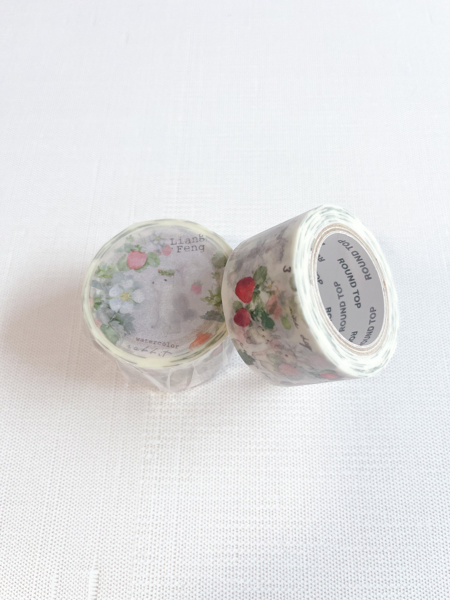 Space Craft | Watercolor Liang Feng Bunny Japanese Masking Tape | MTW-LF024