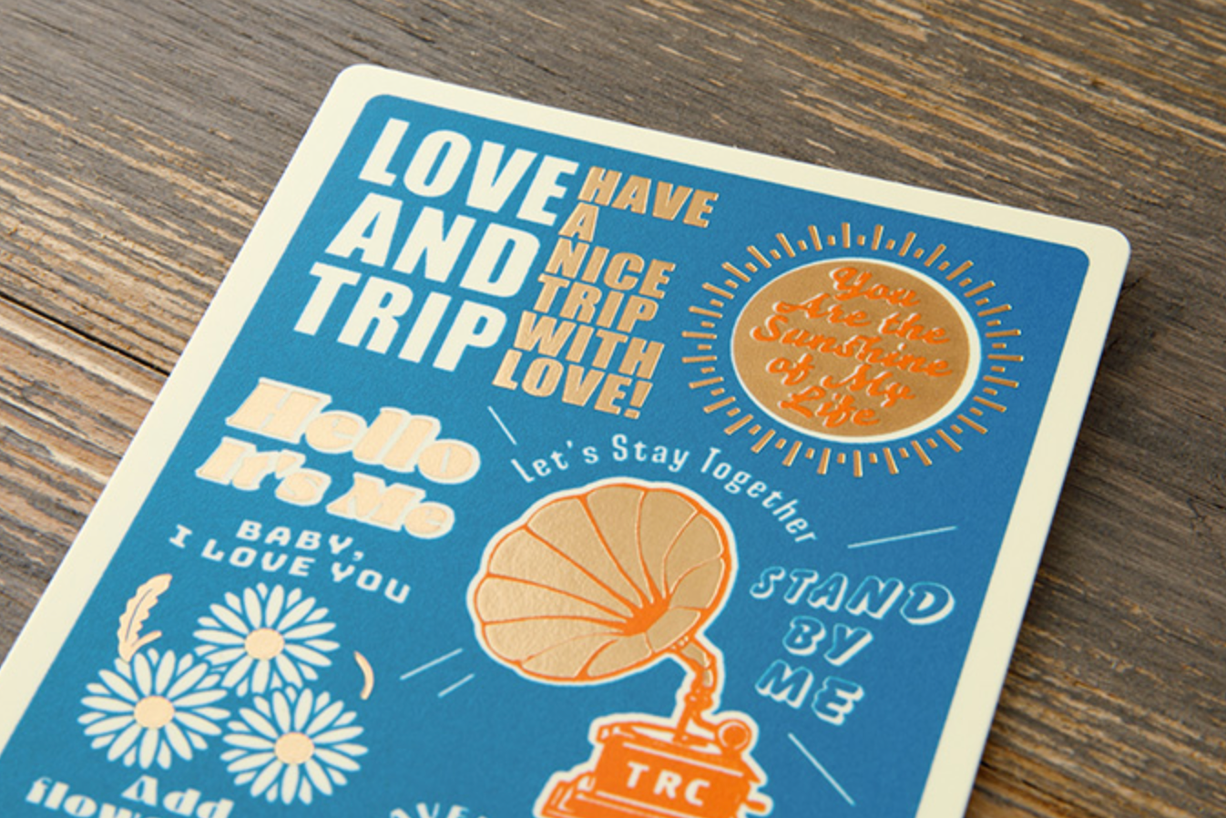 Traveler's Company | 2025 Passport Plastic Sheet