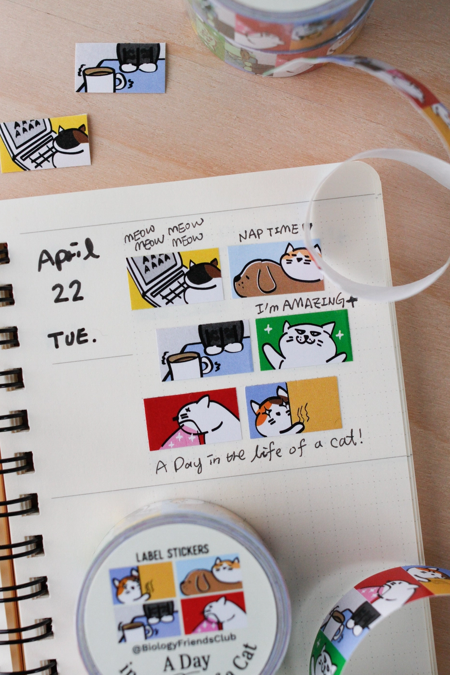 Biology Friends Club | A Day In The Life of a Cat Sticker Label
