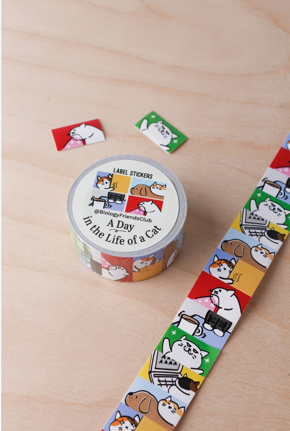 Biology Friends Club | A Day In The Life of a Cat Sticker Label